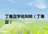 丁毒豆學(xué)名叫啥（丁毒豆）