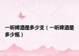 一聽啤酒是多少支（一聽啤酒是多少瓶）