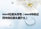 word右箭頭符號（word中標(biāo)記符中向右箭頭是什么）