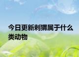 今日更新刺猬屬于什么類動物