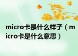 micro卡是什么樣子（micro卡是什么意思）