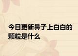 今日更新鼻子上白白的顆粒是什么