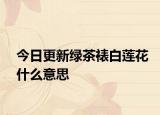 今日更新綠茶裱白蓮花什么意思
