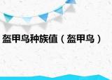 盔甲鳥種族值（盔甲鳥）