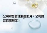 公司財務管理制度照片（公司財務管理制度）