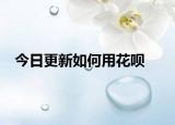 今日更新如何用花唄