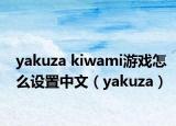 yakuza kiwami游戲怎么設(shè)置中文（yakuza）