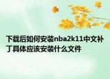 下載后如何安裝nba2k11中文補丁具體應該安裝什么文件