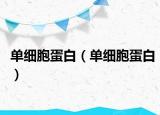 單細胞蛋白（單細胞蛋白）