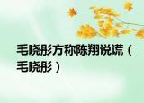 毛曉彤方稱陳翔說(shuō)謊（毛曉彤）