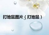 打地鼠圖片（打地鼠）