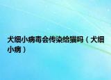 犬細(xì)小病毒會傳染給貓嗎（犬細(xì)小病）