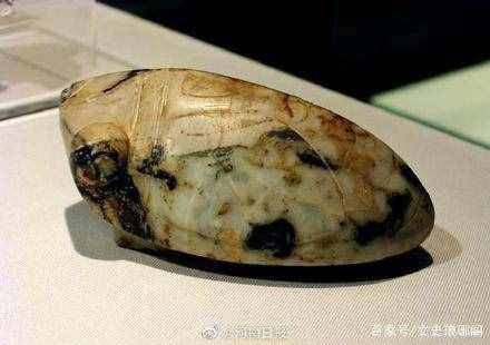 蟬在古代稱知鳥或麻吉鳥，屬于自帶流量的動物