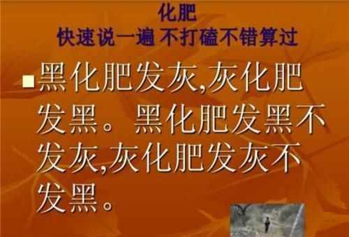 黑化肥會揮發(fā)的那個繞口令是怎么念？看看您能讀到第幾層