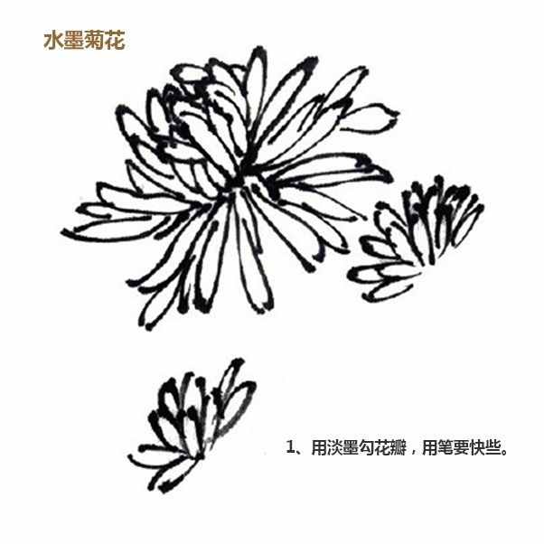 簡(jiǎn)單三步，教你畫(huà)水墨畫(huà)-水墨菊花、桂花、虞美人的繪畫(huà)步驟