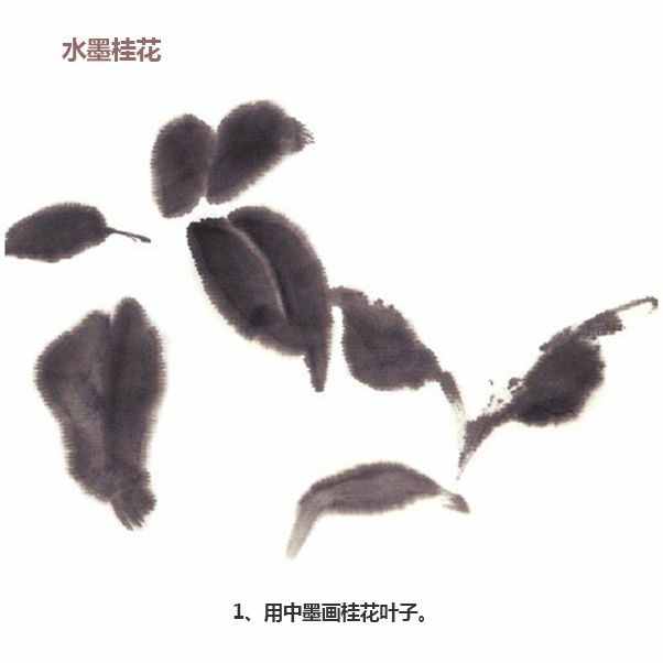 簡(jiǎn)單三步，教你畫(huà)水墨畫(huà)-水墨菊花、桂花、虞美人的繪畫(huà)步驟