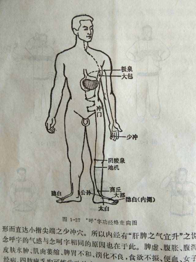 養(yǎng)氣功/馬禮堂
