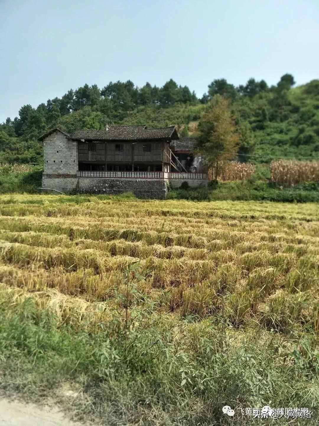 武岡這個地方，自古以來就是風水寶地
