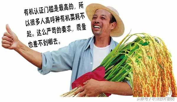到底什么才是有機(jī)食品，不懂不要瞎BB!