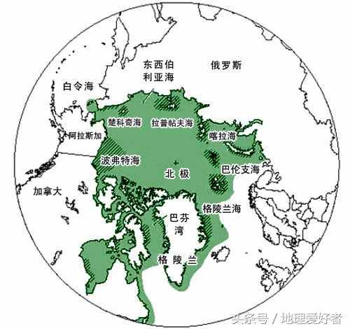 為什么只有北極有北極熊？南極沒有熊
