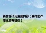 森林的作用主要內(nèi)容（森林的作用主要有哪些）