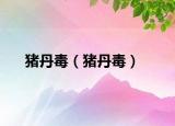豬丹毒（豬丹毒）