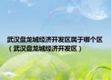武漢盤龍城經(jīng)濟(jì)開發(fā)區(qū)屬于哪個(gè)區(qū)（武漢盤龍城經(jīng)濟(jì)開發(fā)區(qū)）