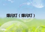 爆閃燈（爆閃燈）
