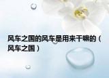 風(fēng)車之國的風(fēng)車是用來干嘛的（風(fēng)車之國）