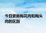 今日更新梅花肉和梅頭肉的區(qū)別