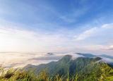 今日更新行百里者半九十什么意思（行百里者半九十虧功一簣未成山）