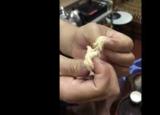 今日更新肉松是棉花做的（肉松是棉花做的是謠傳）