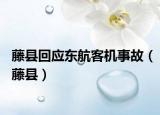 藤縣回應(yīng)東航客機事故（藤縣）
