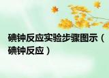 碘鐘反應(yīng)實(shí)驗(yàn)步驟圖示（碘鐘反應(yīng)）