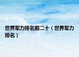 世界軍力排名前二十（世界軍力排名）