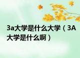 3a大學(xué)是什么大學(xué)（3A大學(xué)是什么?。? /></span></a>
                        <h2><a href=