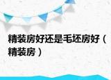 精裝房好還是毛坯房好（精裝房）