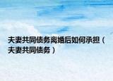 夫妻共同債務(wù)離婚后如何承擔（夫妻共同債務(wù)）