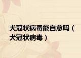犬冠狀病毒能自愈嗎（犬冠狀病毒）