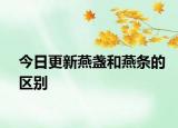 今日更新燕盞和燕條的區(qū)別