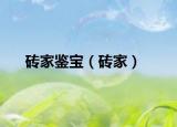 磚家鑒寶（磚家）