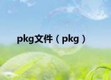 pkg文件（pkg）
