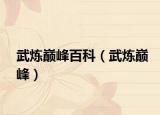 武煉巔峰百科（武煉巔峰）