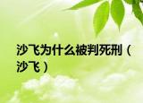 沙飛為什么被判死刑（沙飛）