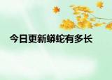 今日更新蟒蛇有多長(zhǎng)