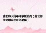 西北師大附中鴻宇班去向（西北師大附中鴻宇班怎麼樣）