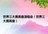 世界三大男高音演唱會(huì)（世界三大男高音）