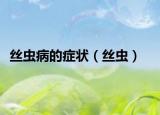 絲蟲病的癥狀（絲蟲）
