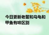 今日更新老鱉和烏龜和甲魚(yú)有啥區(qū)別