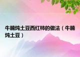 牛腩燉土豆西紅柿的做法（牛腩燉土豆）